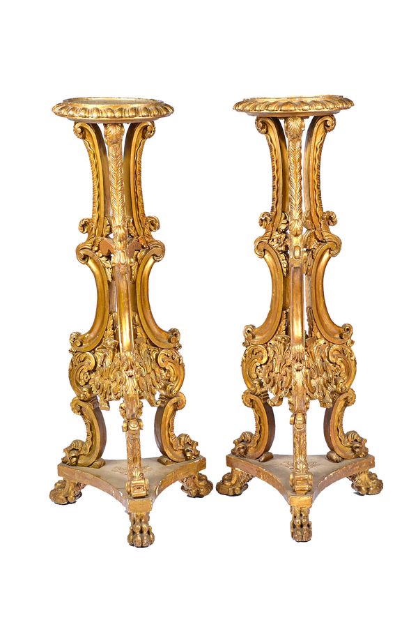 A pair of 19th century gilt framed carved wood jardiniere stands, each with three treble 'C' scroll supports, on triform platform and paw feet, 147cm