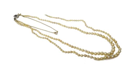 A two row necklace of graduated cultured pearls, on a diamond and sapphire set nine stone cluster clasp, mounted with a cushion shaped sapphire at the