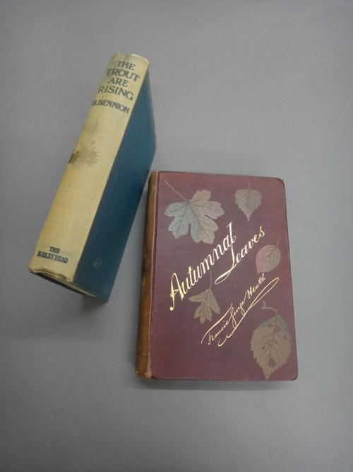 ANGLING - a small quantity of fly, coarse & sea fishing.