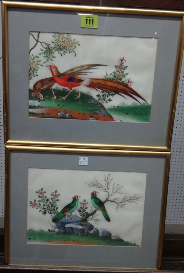 Chinese School (19th century), Asiatic pheasants; Songbirds, a pair, watercolour on pith paper, each 16.5cm x 23cm.(2)   H1