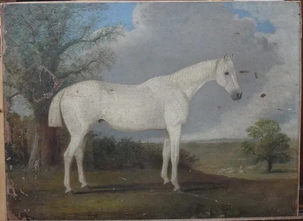 English School (19th century), A white horse in a landscape, oil on canvas, unframed, 45cm x 61cm.