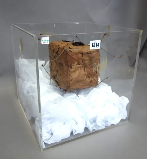 Andy Goldsworthy; Leaf box leaf sculpture in perspex box.