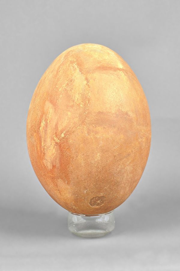 A composite elephant bird egg, Madagascar, pre 17th centry, re-combined fragments of Epyornis Maximus, 32cm.  Illustrated