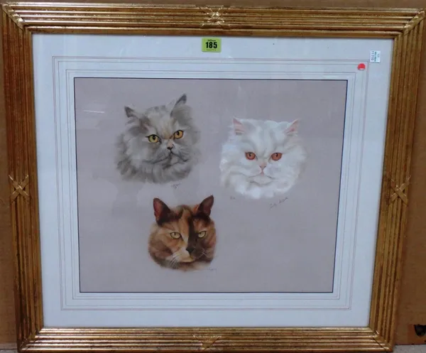 Sally Amcore (20th century), Puffball; Pob; Mopsy: Head studies of three cats, pastel, signed, 37.5cm x 45cm.   E1