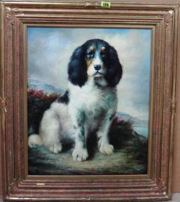 Chinese School (20th century), Study of a spaniel, oil on canvas, 54cm x 44cm.   D1