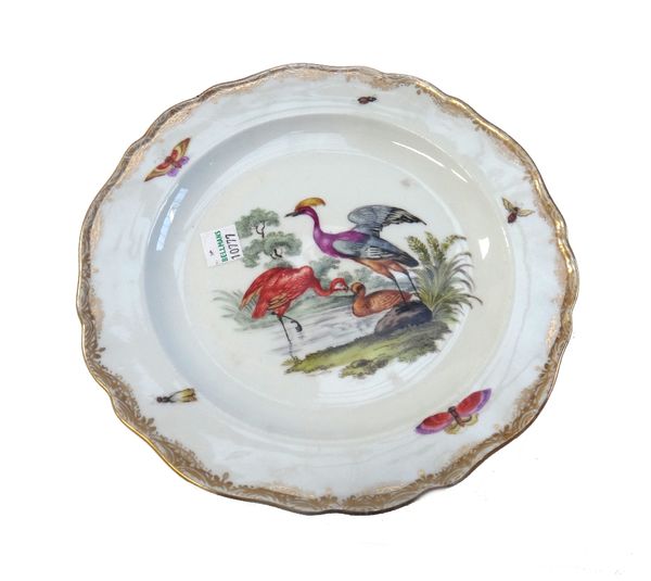 A set of ten Meissen porcelain outside decorated plates, 19th century, each painted with exotic birds within a shaped gilt wide border further decorat