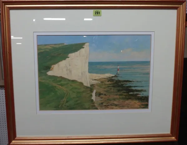 Michael Cruickshank (contemporary), Beachy Head, oil on board, signed, 29cm x 43cm.   D1
