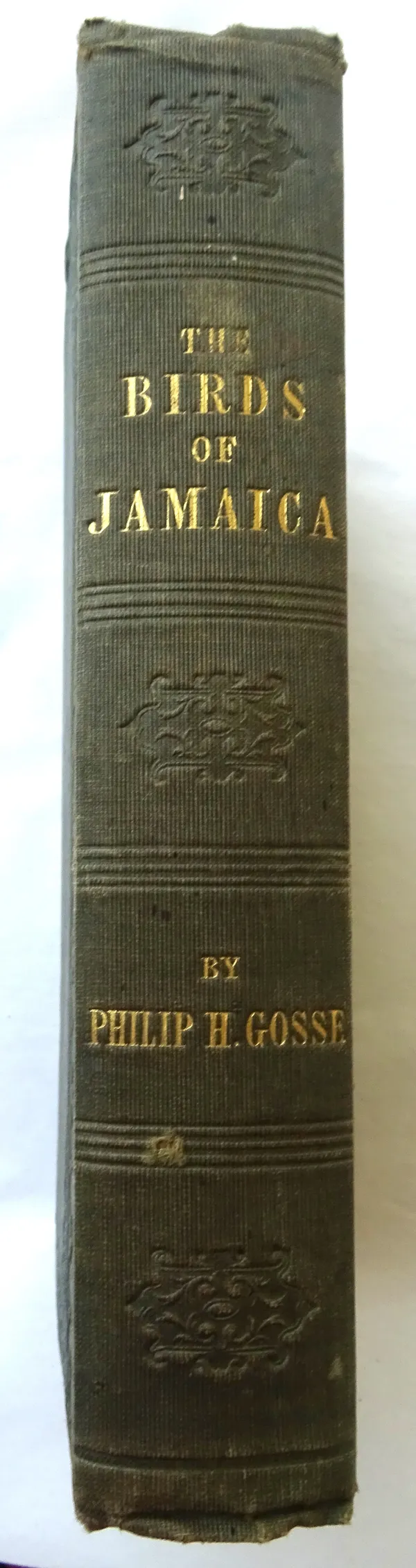 GOSSE (P.H.)  The Birds of Jamaica. First Edition. advert. leaf, errata slip; gilt-lettered & blind-decorated cloth, cr. 8vo. 1847.  *  author's conte