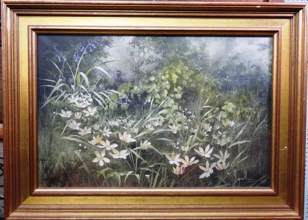 Mary Dipnall (late 20th century), Spring woodland flowers, oil on canvas, signed, 38cm x 59cm  M1.