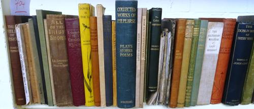 IRISH LITERATURE - mostly Poetry & Plays; later 19th / earlier 20th cents.
