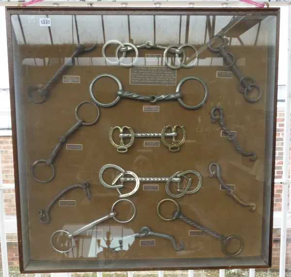 A collection of horse 'bits' and 'snaffles', contained in two wall mounted glazed square cases, each piece with written key beneath, 77cm x 77cm, (2).