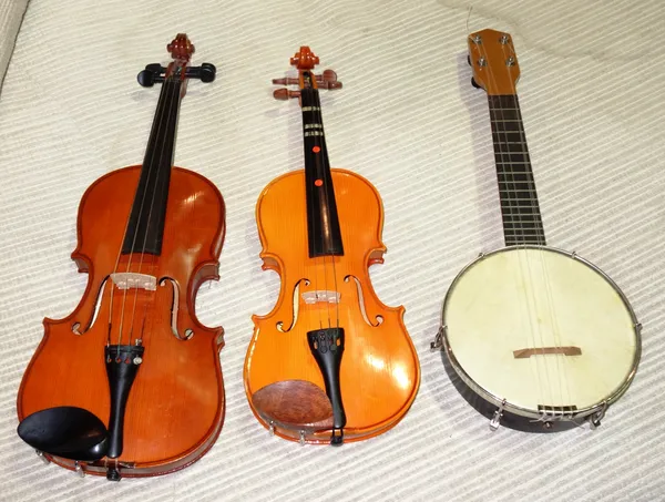 Musical instruments, comprising; two 20th century violins, cased and a banjolele (3).   S2B
