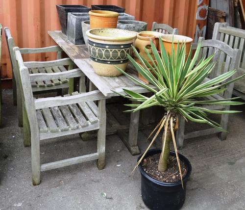 A 20th century rectangular teak garden table and four chairs, 160cm wide (5).  OUT