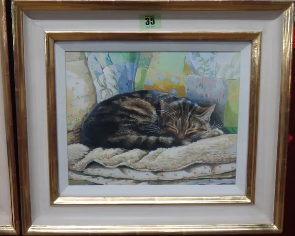 Celia Pike (contemporary), Chester Cat, watercolour and gouache, signed, 20cm x 25cm.   M1