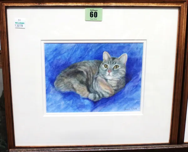 Janet Skea (b.1947), Rozanne: Study of a cat, watercolour, signed, 13.5cm x 18cm.    J1