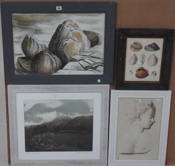 A pastel landscape, a sepia head study, a print by Milner Guillard and a print of shells.(4)   I1