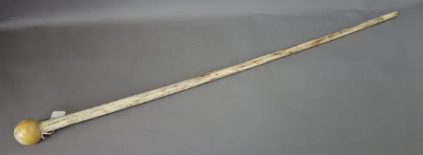 A whale bone walking stick, late 19th century, of cylindrical tapering form, with a spherical ivory pommel, 82.5cm long.
