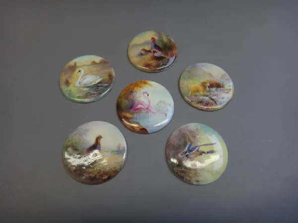 Five Royal Worcester circular plaques by James Stinton, circa 1920, depicting; grouse, duck, swan, game birds and highland cattle, together with one f