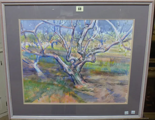 Richard Walker (20th century), Tree study, watercolour, signed and dated 1429/96, 40cm x 50cm.  J1