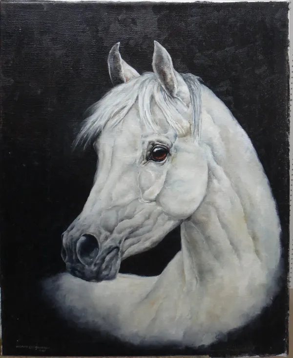 Wendy Goodwright (1945-2011), Head study of a white horse, oil on canvas, signed and dated 2007, unframed, 41cm x 33cm.  J1