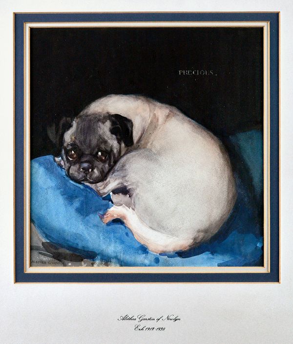 Alethea Garstin (1894-1978), 'Precious', study of a pug, watercolour, signed and inscribed 25cm x 25cm. DDS  Illustrated