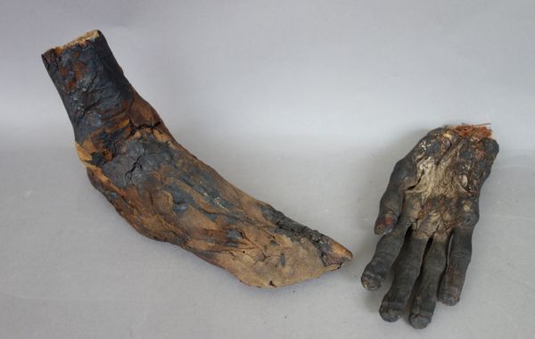 A mummified human foot and two hands, probably 18th century or earlier (a.f), the hand 21cm long, (3).  Illustrated