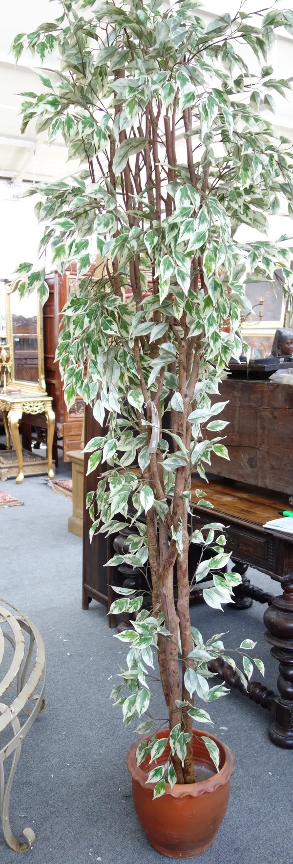 A group of five faux weeping fig trees, each in a terracotta pot, 230cm high, (5).
