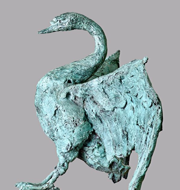 Kate Denton (British, b.1954), a patinated bronze swan, limited edition 2/6, signed to the cast, wingspan 174cm x 80cm high. DDS  Illustrated