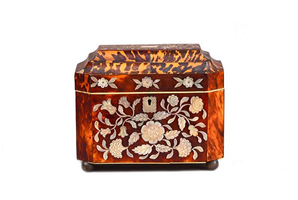 A Regency mother-of-pearl inlaid tortoiseshell tea caddy, the stepped top enclosing a twin lidded interior, on gilt metal ball feet, 19cm wide x 16cm