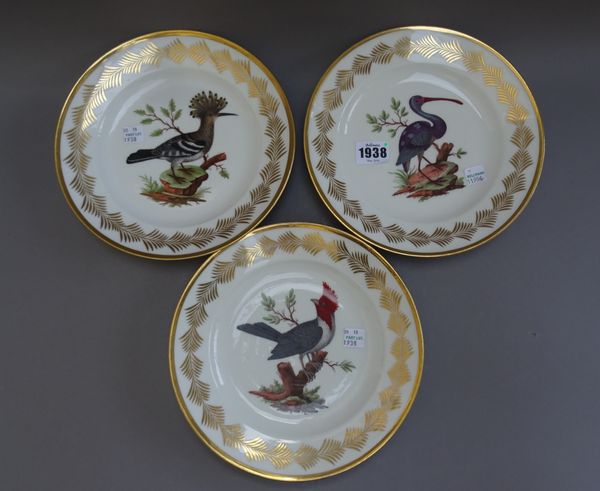 Three Nast porcelain cabinet plates, early 19th century, each painted with an exotic bird within a gilt foliate border, titled to the rear with red pr