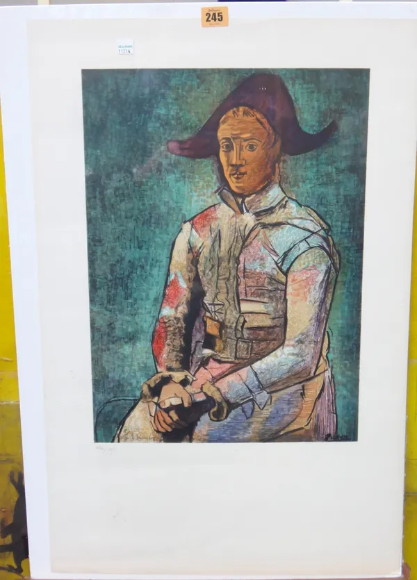 After Pablo Picasso, Portrait de Garcon, colour print, numbered 126/195, 46cm x 33cm.  CAB
