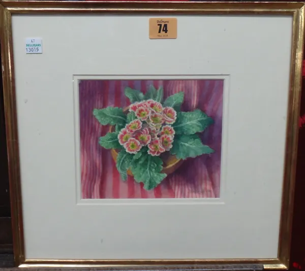 Janet Skea (b.1947), Primula, watercolour, signed, 13.5cm x 16.5cm.  H1