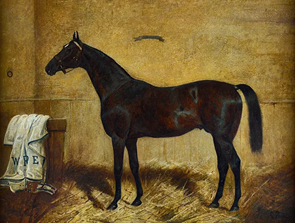 George Paice (1854-1925), Glory Smitten: a chestnut racehorse in a stable, oil on canvas, signed, dated '96, inscribed  Croydon, 50cm x 67cm. Illustra