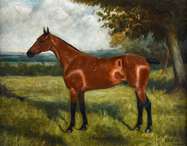George Paice (1854-1925), Ensign: a bay racehorse in a landscape, oil on canvas, signed, dated '96, and inscribed Croydon, 50cm x 67cm. Illustrated. A
