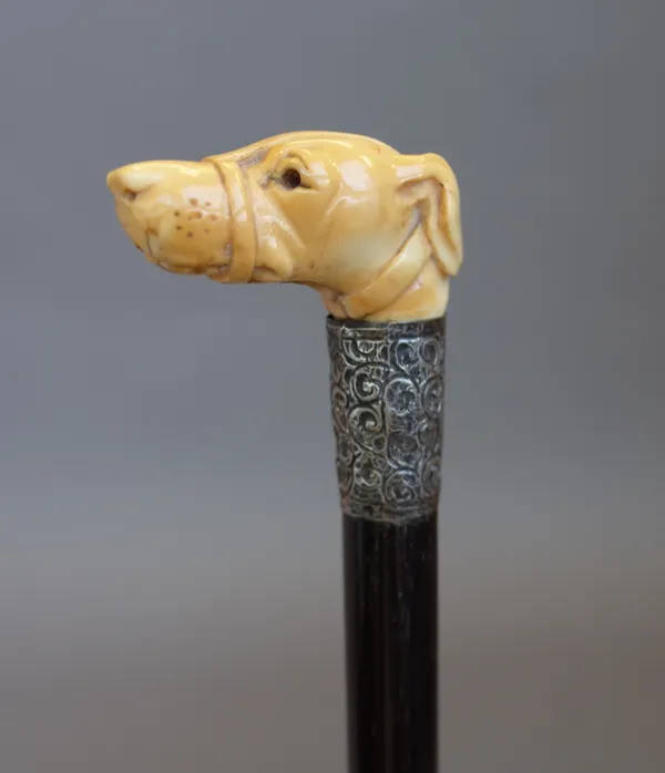 A Victorian ebonised cylindrical walking stick with carved ivory dog's head handle and a foliate embossed silver collar. (91cm)