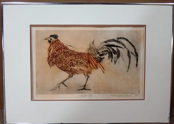 Rosamund C. Jones (20th century), Ginger Cock, colour etching, signed and inscribed; together with an ink drawing of flowers in a vase.(2)   G1