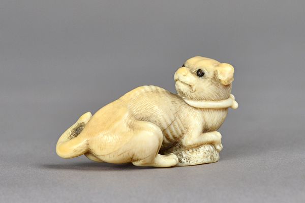 A Japanese ivory netsuke of a puppy Edo period, carved with front paws resting on an awabi shell, its head turned across its back, inlaid eyes, unsign