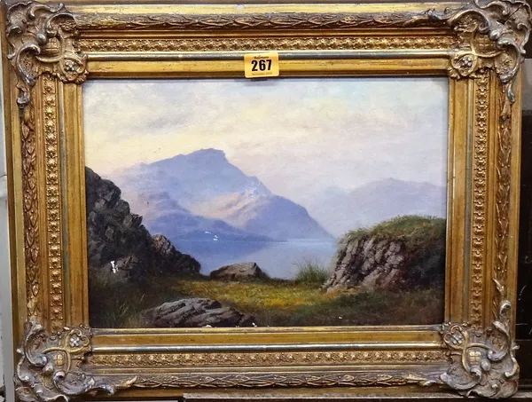 W** S** (c.1900), Loch scenes, a pair, oil on canvas, both signed with initials, each 23cm x 34cm.(2)   B4
