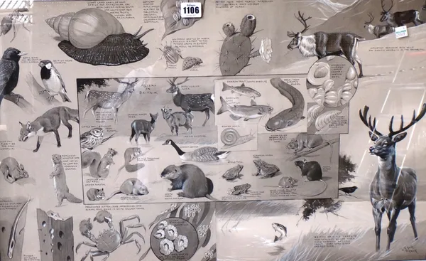 William Neave Parker (1910-1961), Montage of animals in foreign landscapes, pen, ink and grey wash, heightened with white, one signed, each 43cm x 71c