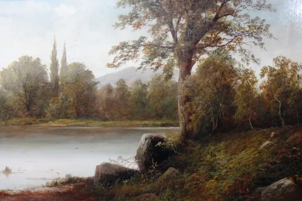 H. Wilmott (19th century), Wooded river landscape, oil on canvas, signed, 58cm x 88cm.