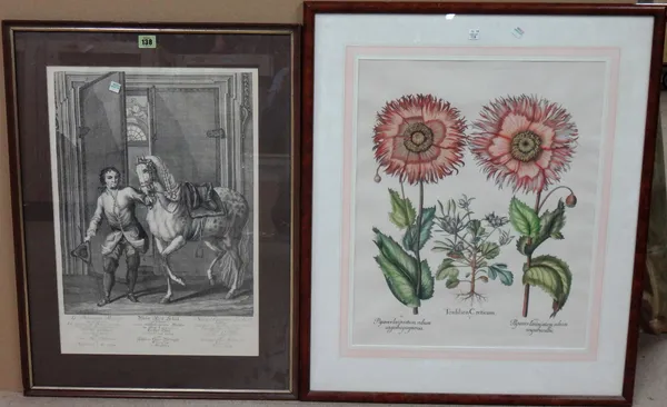 A group of assorted prints and engravings, including a print of an engraving of a man with a horse, a lithograph of a stag,  a print of poppies, a pri