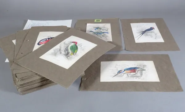 A quantity of 19th century ornithological prints, (qty).  CAB