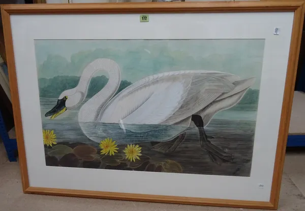 After Gould/Bewick, The Swan, watercolour, 49cm x 80cm.  A4