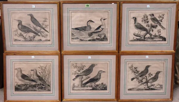 After Martinet, Studies of birds, six engravings, each 23cm x 28cm.(6)  ROSTRUM