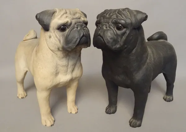 Two life size 20th century ceramic models of pugs, (2). On behalf of the Pug Dog Welfare & Rescue Association.  ROST