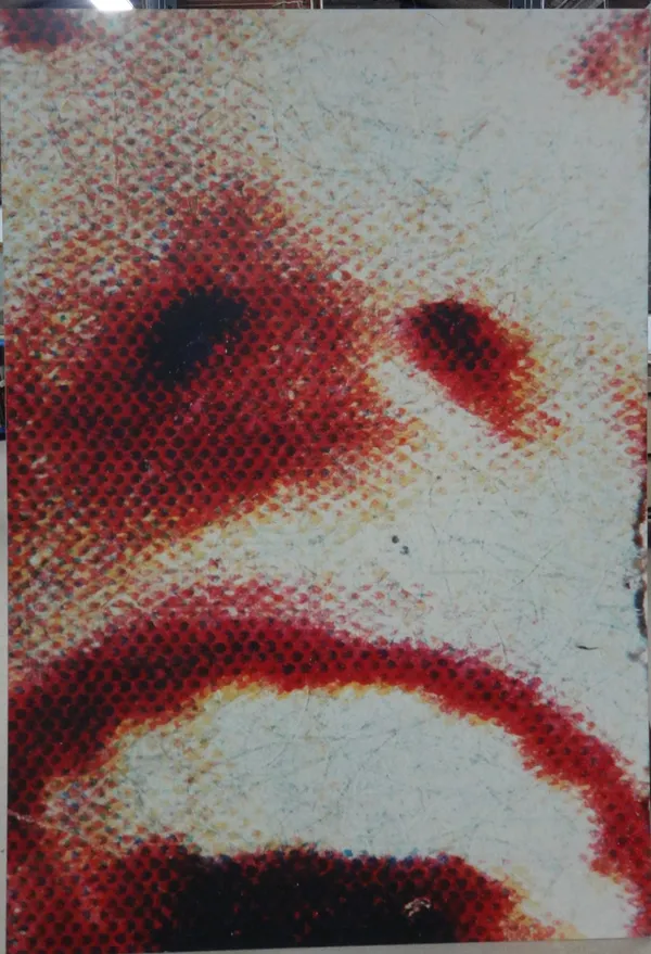Angus Fairhurst (1966-2008), The scream, photographic print on board, unframed, 213cm x 147cm.   DDS 4321