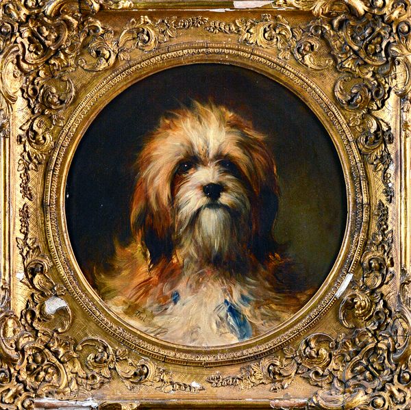Thomas Earl (1815-1885), Study of a terrier, oil on canvas, signed,  circular, 35cm x 35cm. Illustrated