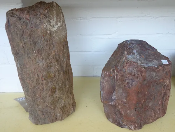 A selection of fossilized wood samples, the largest 40cm high and of cylindrical form, (7).
