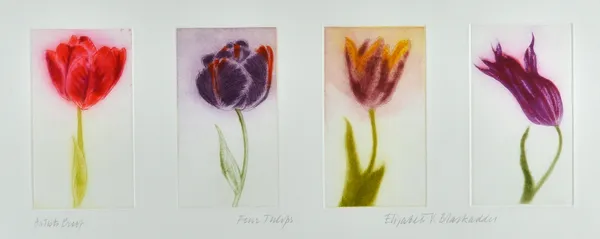 Dame Elizabeth Blackadder (b.1931), Four tulips, colour etching and aquatint, edition of 45cm, signed and inscribed, 43cm x 69cm. DDS Illustrated.