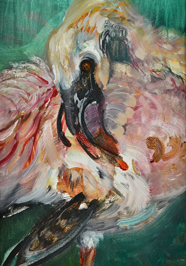 Maggi Hambling (b.1945), Pelican Preening, oil on canvas, signed and dated '99 on reverse, 34.5cm x 24cm. DDS Illustrated.